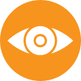 Inskyber_Vision